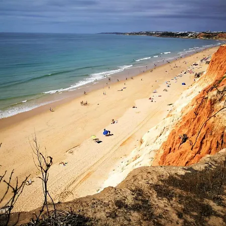 Falesia Pine Spot * 阿尔布费拉